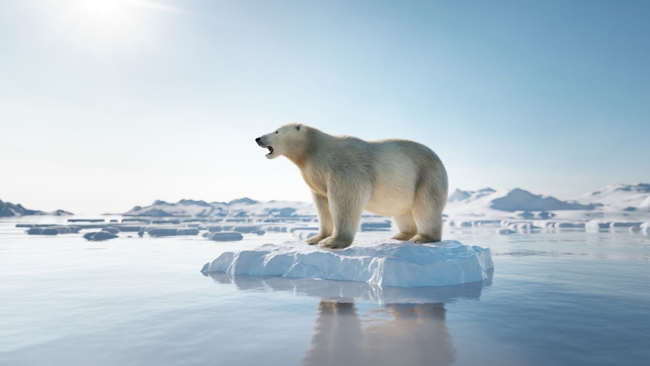 O derretimento dos polos, como o Ártico e a Antártida, é uma consequência direta do aquecimento global causado pelos gases de efeito estufa. O aumento das temperaturas provoca o degelo das calotas polares, elevando o nível do mar e ameaçando ecossistemas costeiros e comunidades que dependem dessas regiões.