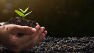 Os benefícios da compostagem vão além da redução de resíduos. Ela enriquece o solo, aumentando sua capacidade de retenção de água, melhorando sua estrutura e estimulando a atividade microbiana, resultando em plantas mais saudáveis e produtivas.