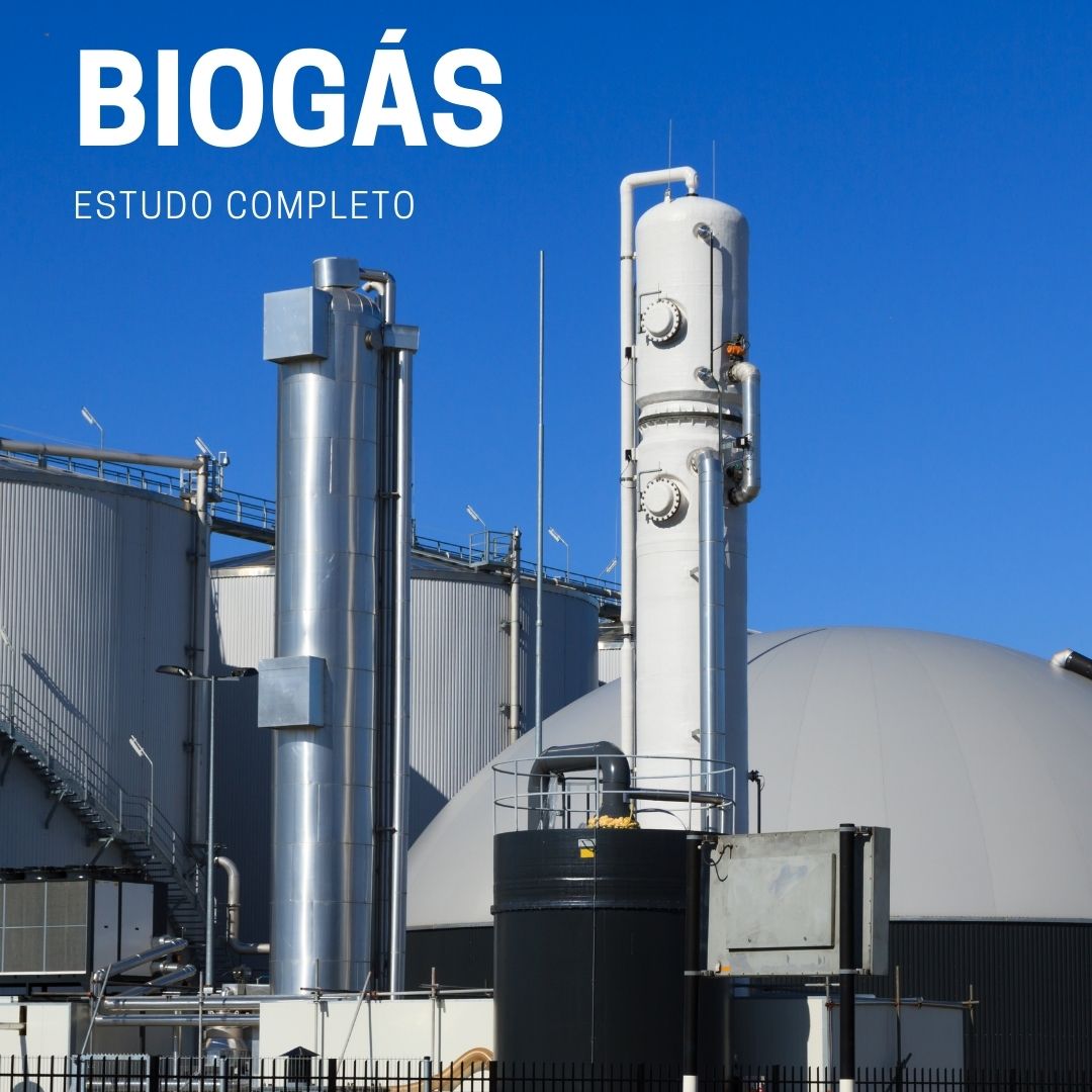 Estudo sobre biogas